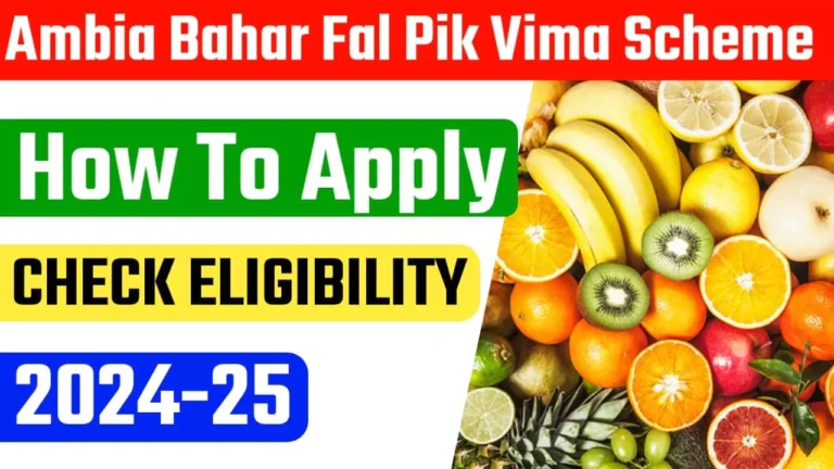 Ambia Bahar Fal Pik Vima Yojna 2024 Ambia Bahar Fal Pik Vima Yojna 2024