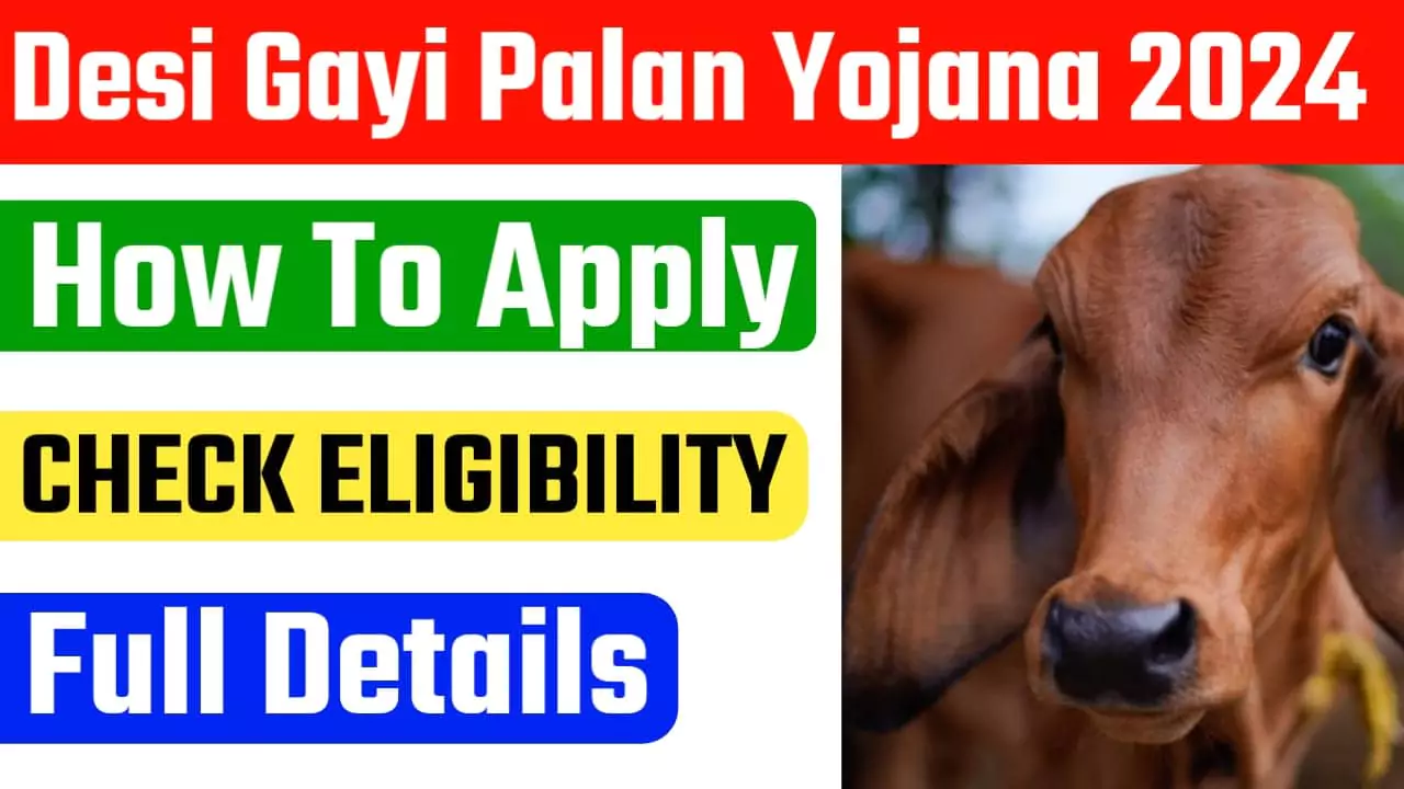 Desi Gayi palan yojana 2024